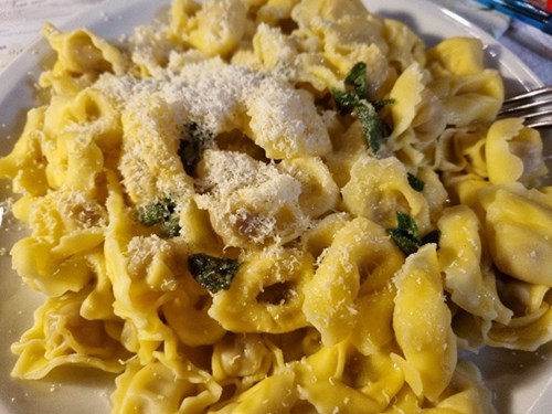 salvia-officinalis-9